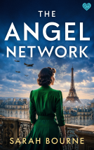 book cover for The Angel Network