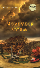 book cover for November Storm