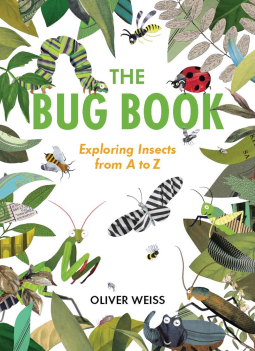 book cover for The Bug Book