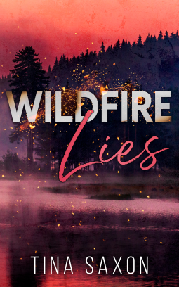 book cover for Wildfire Lies