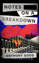 book cover for Notes on a Breakdown