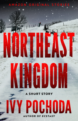 book cover for Northeast Kingdom