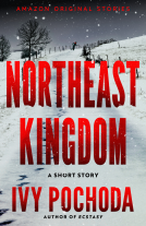 book cover for Northeast Kingdom