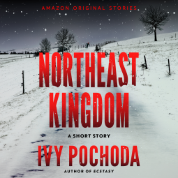 book cover for Northeast Kingdom