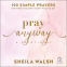book cover for Pray Anyway
