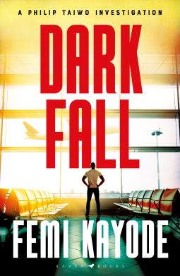 book cover for Dark Fall