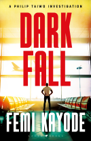 book cover for Dark Fall