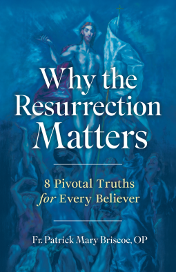 book cover for Why the Resurrection Matters