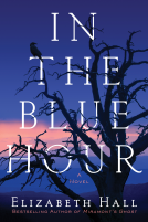 book cover for In the Blue Hour
