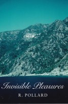 book cover for Invisible Pleasures