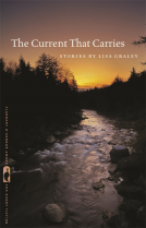 book cover for The Current That Carries