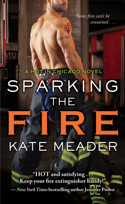 book cover for Sparking the Fire