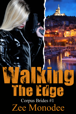 book cover for Walking The Edge