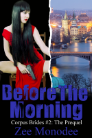 book cover for Before The Morning