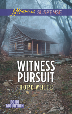 book cover for Witness Pursuit