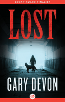 book cover for Lost