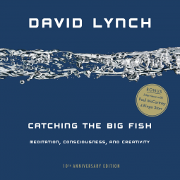 book cover for Catching the Big Fish