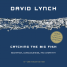 book cover for Catching the Big Fish