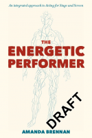 book cover for The Energetic Performer