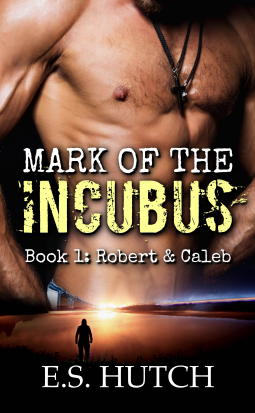 book cover for Mark of the Incubus: Book One