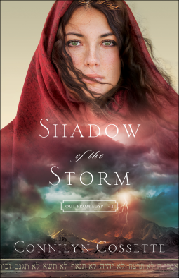 book cover for Shadow of the Storm