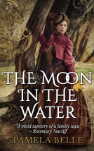 book cover for The Moon in the Water
