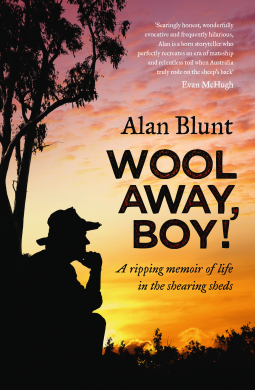 book cover for Wool Away, Boy!