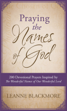 book cover for Praying the Names of God
