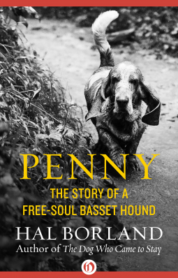 book cover for Penny