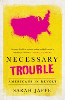 book cover for Necessary Trouble