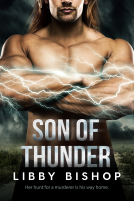 book cover for Son of Thunder