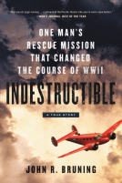 book cover for Indestructible