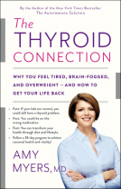 book cover for The Thyroid Connection