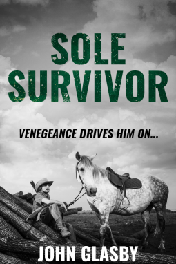 book cover for Sole Survivor