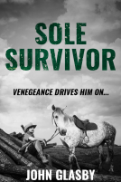 book cover for Sole Survivor