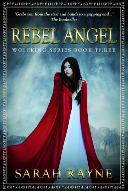 book cover for Rebel Angel