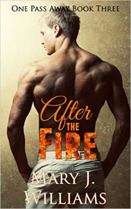 book cover for After The Fire