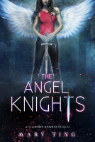 book cover for The Angel Knights