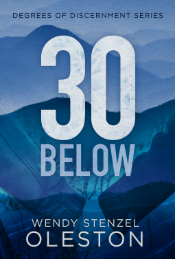 book cover for 30 Below