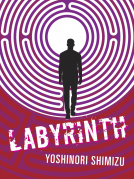 book cover for Labyrinth
