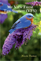 book cover for My View from the Summit