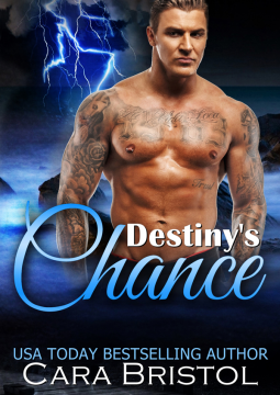 book cover for Destiny's Chance