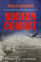 book cover for Korean Combat