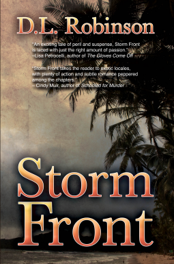 book cover for Storm Front