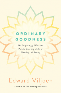 book cover for Ordinary Goodness