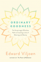 book cover for Ordinary Goodness