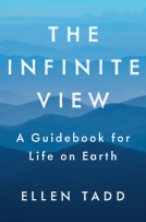 book cover for The Infinite View