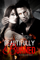 book cover for Beautifully Burned