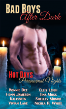 book cover for Bad Boys After Dark
