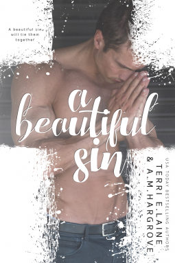 book cover for A Beautiful Sin